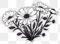 PNG Pattern drawing flower sketch. 