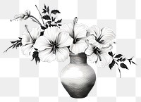 PNG Flower plant white vase. 