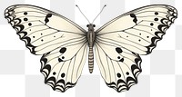 PNG Butterfly drawing animal insect. 