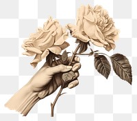 PNG Drawing flower holding sketch. AI generated Image by rawpixel.