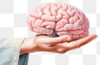 PNG Medical person adult brain. AI generated Image by rawpixel.