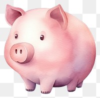 PNG Mammal pig investment currency. 