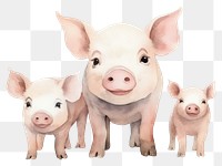 PNG Pig mammal animal white background. AI generated Image by rawpixel.