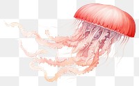 PNG Jellyfish transparent underwater animal. AI generated Image by rawpixel.
