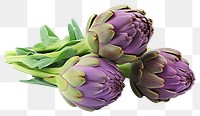 PNG Artichoke vegetable plant food. 