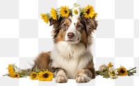 PNG Flower dog sunflower mammal. AI generated Image by rawpixel.