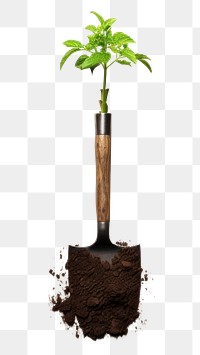 PNG Plant soil agriculture beginnings. AI generated Image by rawpixel.