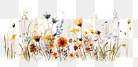 PNG Flower wildflower outdoors pattern. AI generated Image by rawpixel.