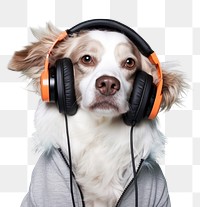 PNG Headphones dog portrait headset. 