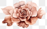 PNG Rose flower petal plant. AI generated Image by rawpixel.