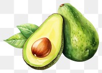 PNG Avocado fruit plant food. AI generated Image by rawpixel.