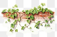 PNG Plant brick leaf ivy