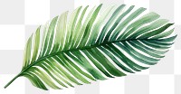 PNG Plant leaf freshness pattern. 