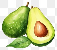 PNG Avocado fruit plant food. AI generated Image by rawpixel.