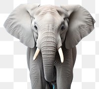 PNG Elephant wildlife animal mammal. AI generated Image by rawpixel.