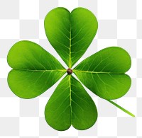 PNG Plant leaf freshness clover. AI generated Image by rawpixel.