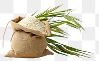 PNG Sack plant crop rice