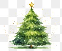 PNG Christmas tree plant christmas tree