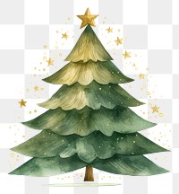 PNG Christmas tree plant transparent background