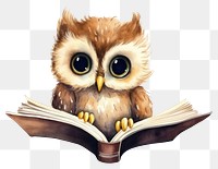 PNG Bird book owl intelligence transparent background