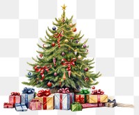PNG Christmas tree plant transparent background. 