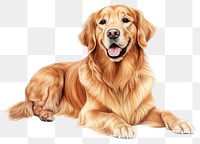 PNG Mammal animal pet dog. AI generated Image by rawpixel.