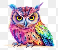 PNG Owl drawing animal sketch transparent background