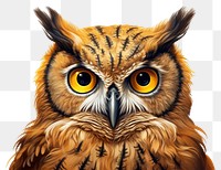 PNG Owl animal bird beak transparent background