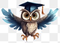 PNG Graduation animal bird owl transparent background