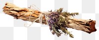 PNG Driftwood plant herbs  