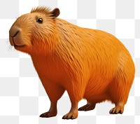 PNG Mammal animal rodent capybara. 