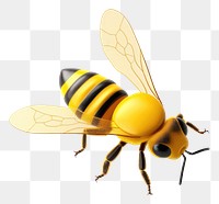 PNG Bee animal insect hornet transparent background