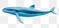 PNG Whale dolphin animal mammal. 