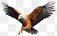 PNG Animal flying eagle bird. 