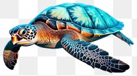 PNG Reptile animal turtle transparent background