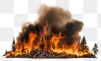 PNG Fire bonfire burning forest transparent background