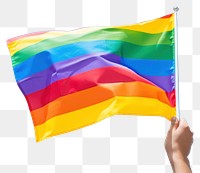 PNG Flag rainbow holding hand. 