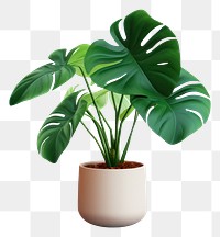 PNG Plant leaf houseplant transparent background