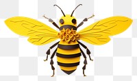 PNG Bee animal insect hornet transparent background