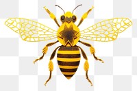 PNG Bee insect animal hornet. 