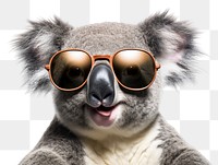 PNG Sunglasses koala mammal animal transparent background