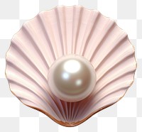 PNG Pearl jewelry shell invertebrate. AI generated Image by rawpixel.
