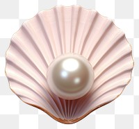 PNG Pearl jewelry shell invertebrate. 