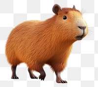 PNG Capybara rat mammal animal. 