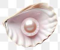 PNG Pearl seashell jewelry invertebrate. AI generated Image by rawpixel.