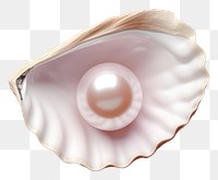 PNG Pearl seashell jewelry invertebrate. 