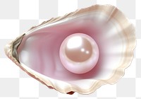 PNG Pearl seashell jewelry oyster. 