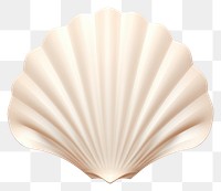 PNG Seashell clam  invertebrate. 