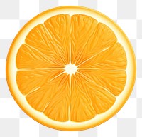 PNG Sliced orange grapefruit lemon plant. 