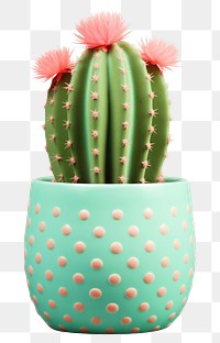 PNG Cactus plant white background decoration. AI generated Image by rawpixel.